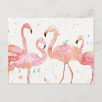 Tropical | Gathering of Flamingos