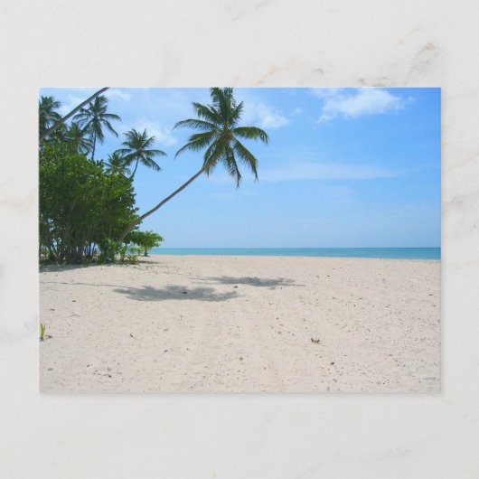 Carte Postale Tropical Island Beach, Seychelles) (Devant)