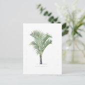 Carte Postale Tropical Palm collection - image 3 (Debout devant)
