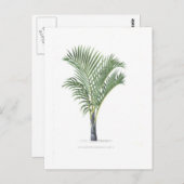 Carte Postale Tropical Palm collection - image 3 (Devant / Derrière)