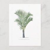 Carte Postale Tropical Palm collection - image 3 (Devant)