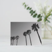 Carte postale Tropical Palm Trees (Debout devant)