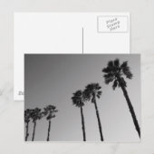 Carte postale Tropical Palm Trees (Devant / Derrière)