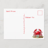 Carte Postale Tropical Paradise | Coastal Keeping in Touch (Dos)