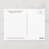 Carte postale Tropical Paradise Duck (Dos)