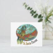 Carte Postale Tropical Parrot of St Lucia (Debout devant)