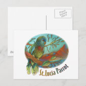 Carte Postale Tropical Parrot of St Lucia (Devant / Derrière)
