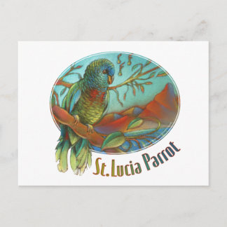 Carte Postale Tropical Parrot of St Lucia