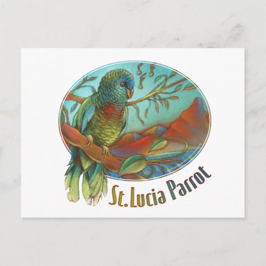 Carte Postale Tropical Parrot of St Lucia (Devant)