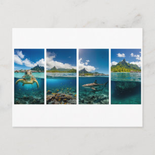 Carte Postale Tropical Split‑View Poster – Underwater & Island L