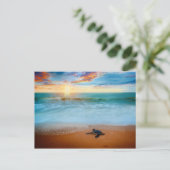 Carte Postale Tropical Sunset Sea Turtle Sandy Beach (Debout devant)