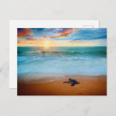 Carte Postale Tropical Sunset Sea Turtle Sandy Beach (Devant / Derrière)