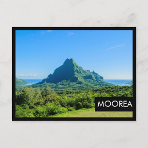 Carte postale Tropical vert Moorea cadre noir
