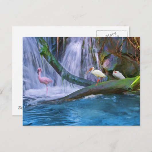 Carte postale Tropical Waterfall (Devant / Derrière)
