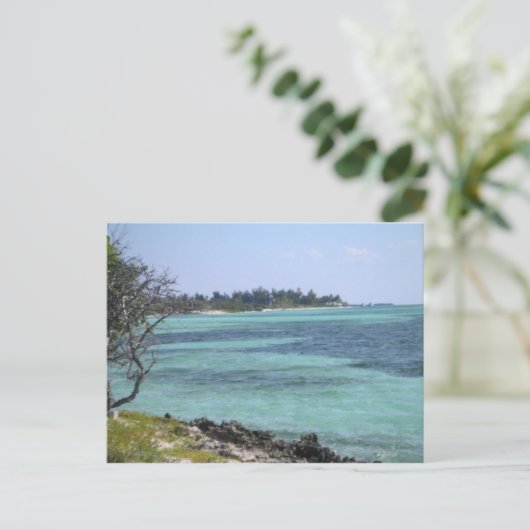 Carte postale tropicale (Debout devant)