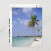 carte postale tropicale de plage (Devant / Derrière)