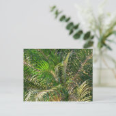 Carte Postale Tropique des contours de palmiers clairs du couche (Debout devant)
