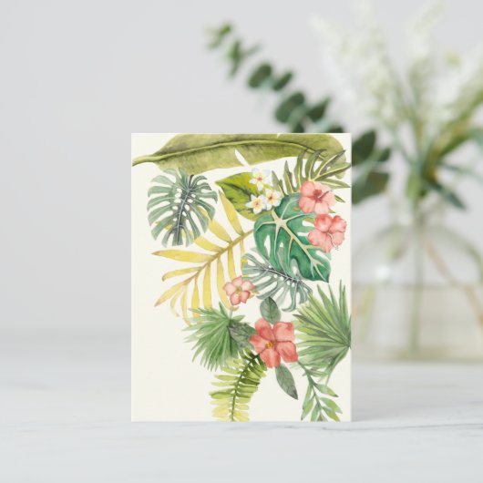 Carte Postale Tropiques souples (Debout devant)