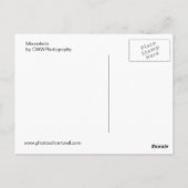Carte Postale Trou (Dos)