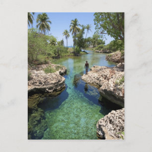 Carte Postale Trou de l'Alligator, ville de Black River, Jamaïqu