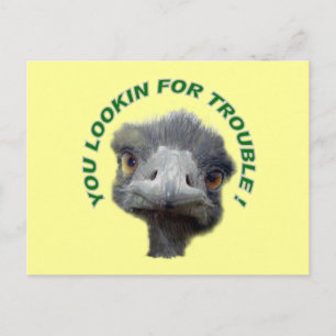 Carte Postale Trouble d'Ostrich