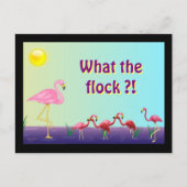 Carte Postale Troupeau (Devant)