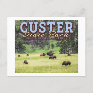 CARTE POSTALE TROUPEAU DE BISON - CUSTER STATE PARK - DAKOTA DU 