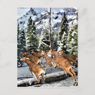 Carte Postale Troupeau de cerfs qui court dans les montagnes Roc