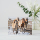 Carte Postale Troupeau de chevaux de races mixtes courant dans l (Debout devant)