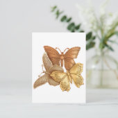 Carte Postale Troupeau de papillons (Debout devant)