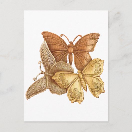 Carte Postale Troupeau de papillons (Devant)