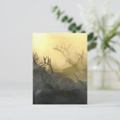 Carte Postale Troupeau de rennes (Debout devant)