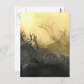 Carte Postale Troupeau de rennes (Devant / Derrière)