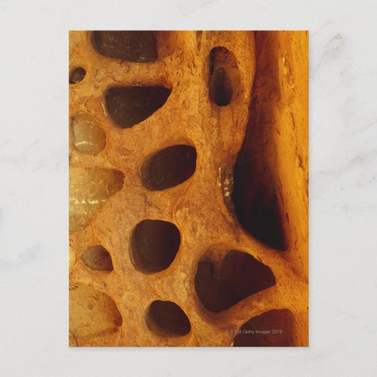 Carte Postale Trous en pierre (Devant)
