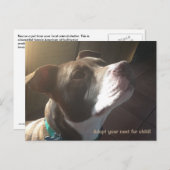 Carte Postale Trousses d'adoption (Devant / Derrière)