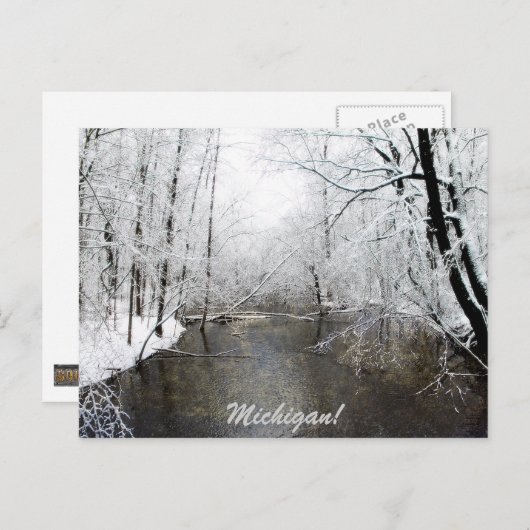 Carte Postale Trout (Devant / Derrière)