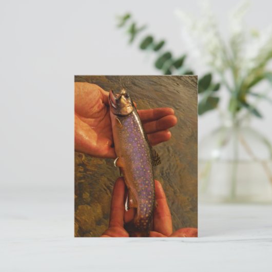 Carte Postale Trout à Hands (Debout devant)