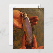 Carte Postale Trout à Hands (Devant / Derrière)