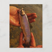 Carte Postale Trout à Hands (Devant)