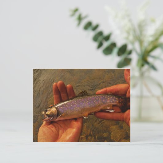 Carte Postale Trout à Hands (Debout devant)