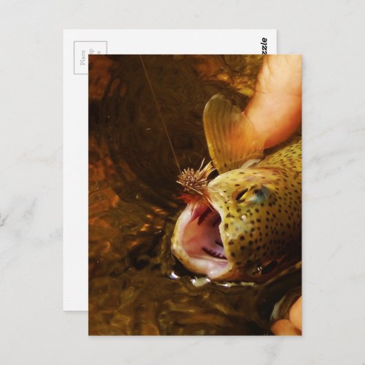 Carte Postale Trout and Fly (Devant / Derrière)