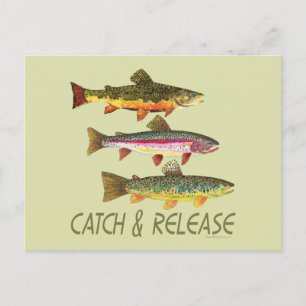 Carte Postale Trout Catch and Release
