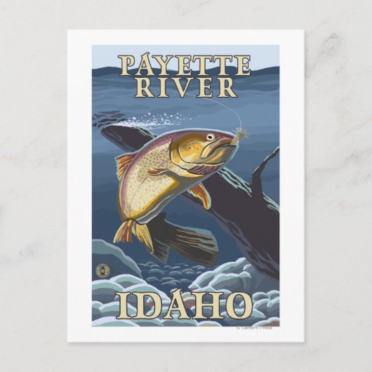Carte Postale Trout Fishing Cross-Section - rivière Payette, (Devant)