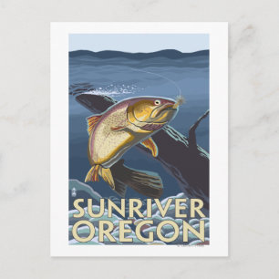 Carte Postale Trout Fishing Cross-Section - Sun River,