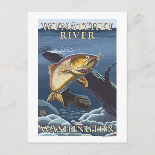 Carte Postale Trout Fishing Cross-Section - Wenatchee River, W (Devant)