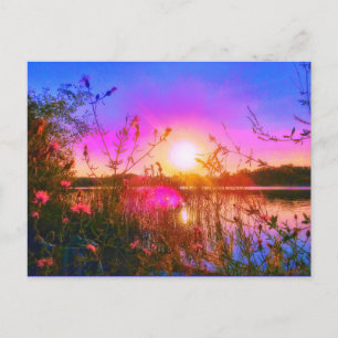 CARTE POSTALE TROUT LAKE SUN POSTCARD