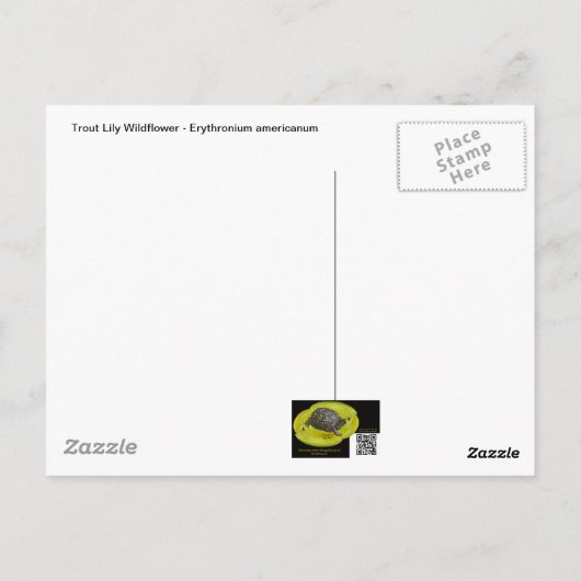 Carte Postale Trout Lily Fleur sauvage - Erythronium americanum (Dos)