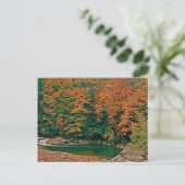 Carte Postale Trout Stream, Virginie-Occidentale (Debout devant)