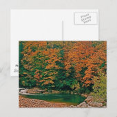 Carte Postale Trout Stream, Virginie-Occidentale (Devant / Derrière)