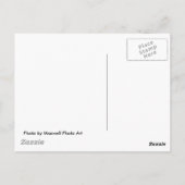 Carte Postale Trout Stream, Virginie-Occidentale (Dos)